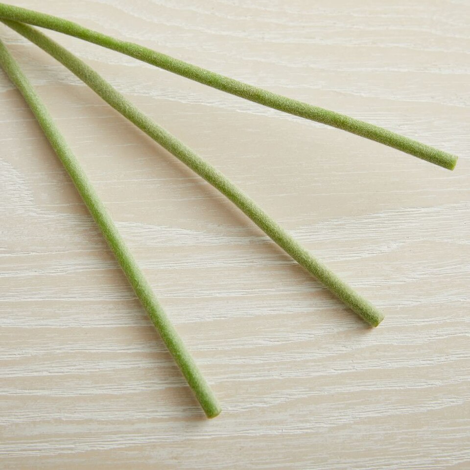 Faux Billy Ball Stem West Elm UK